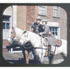 10 ANDREW - Cowboy Stars Adventures - View-Master 3 Reel Eco Packet - vintage - 946,951,956-s3 Packet 3dstereo 