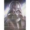 Darth Vader - Double Views - 3D Flip Lenticular Poster - 12x16 - New Poster 3Dstereo 