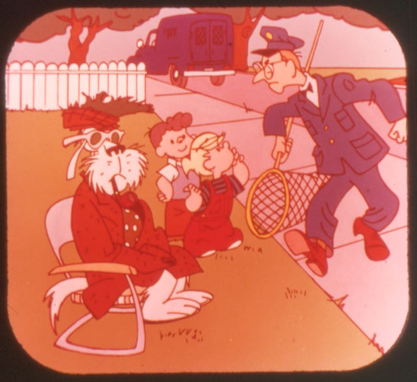 Dennis the Menace - View-Master 3 Reel Packet - 1960's - vintage - (ECO-B539-S6A) Packet 3Dstereo.com 