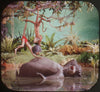 9 ANDREW - Jungle Book - View-Master 3 Reel Economy Packet - vintage - B363-G3A Packet 3Dstereo 