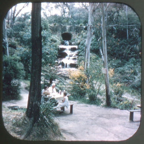 8 ANDREW - Blue Mountains, N.S.W. Australia - View-Master Single Reel - vintage - 5009 Reels 3dstereo 