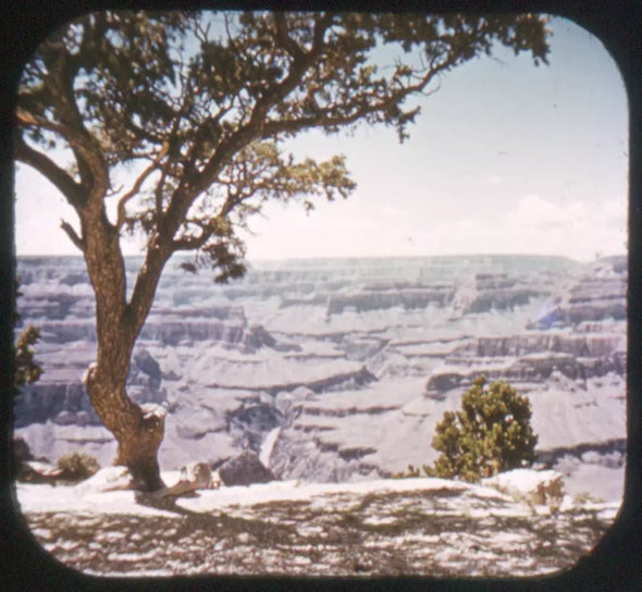 5 ANDREW - Grand Canyon - Arizona - View-Master SMALL LETTERING Gold Center Reel - vintage - #26 Reels 3dstereo 