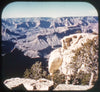 5 ANDREW - Grand Canyon - West Rim Drive - View-Master Gold Center Reel - vintage - #28 Reels 3dstereo 