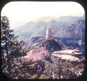 Grand Canyon - North Rim - View-Master Gold Center Reel - vintage - #36 Reels 3dstereo 