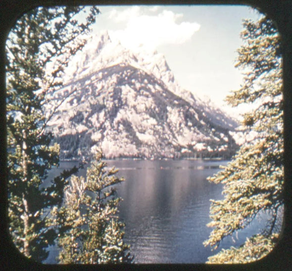 5 ANDREW - Grand Teton National Park - Wyoming - View-Master Gold Center Reel - vintage - #41 Reels 3dstereo 