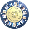 5 ANDREW - Glacier Nat'l Park - Montana - View-Master Gold Center Reel - vintage - #47 Reels 3dstereo 