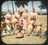 5 ANDREW - Hawaiian Hula Dancers - Hawaii -View-Master SMALL LETTERING Gold Center Reel - vintage - #61 Reels 3dstereo 