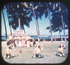 5 ANDREW - Hawaiian Hula Dancers - Hawaii - View-Master Gold Center Reel - vintage - #62 Reels 3dstereo 