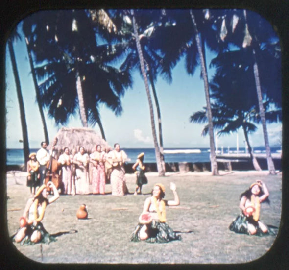 5 ANDREW - Hawaiian Hula Dancers - Hawaii - View-Master Gold Center Reel - vintage - #62 Reels 3dstereo 