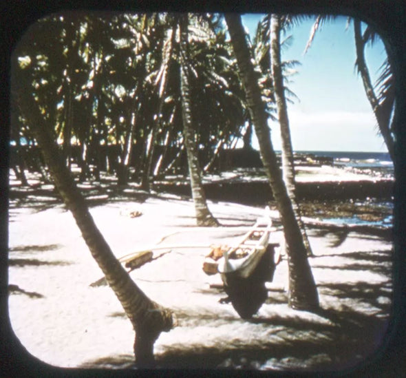 5 ANDREW - Island of Hawaii - Kona Side - Hawaii - View-Master Gold Center Reel - vintage - #65 Reels 3dstereo 