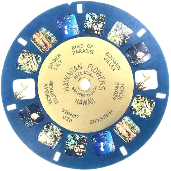 5 ANDREW - Hawaiian Flowers - Hawaii - View-Master Gold Center Reel - vintage - #69 Reels 3dstereo 