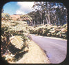 5 ANDREW - Hawaiian National Park - Isle of Hawaii - View-Master Gold Center Reel - vintage - #71 Reels 3dstereo 