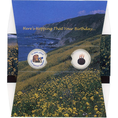 Here's Hopping That Your Birthday... - OH WOW Greeting Card - Mailable Viewer - NEW 3dstereo 