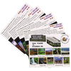 Great Smoky Mountains National Park - OH WOW Greeting Card - Mailable Viewer with 10 view cards - NEW 3dstereo 