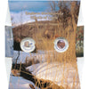 Eastern Woodland - Effects of Snow - OH WOW Greeting Card - Mailable Viewer with 7 viewer cards - NEW 3dstereo 