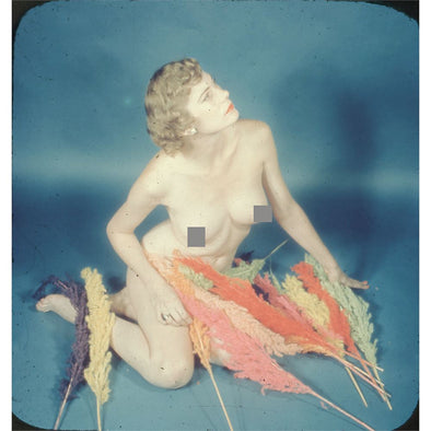 4 ANDREW - Pin-Up Stereo Slide - Girl Relaxing with Feathers - 5Perf Realist 3dstereo 