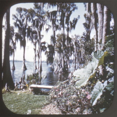 7 ANDEW - Cypress Gardens and Bok Tower Florida - View-Master Hand-Lettered Reel - vintage (HL-164n) Reels 3dstereo 