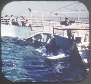 7 ANDREW - Marine Studios, St. Augustine - Florida - View-Master Hand-Lettered Reel - vintage (HL-166c) Reels 3dstereo 