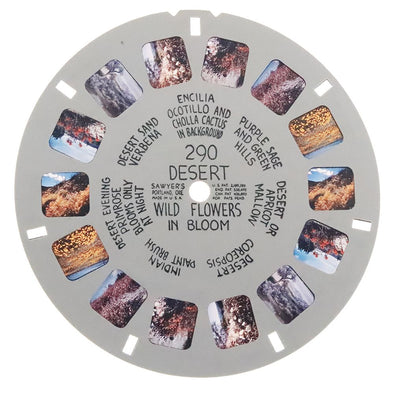 7 ANDREW - Desert Wild Flowers in Bloom - View-Master Hand Lettered Reel - vintage (HL-290n) Reels 3dstereo 