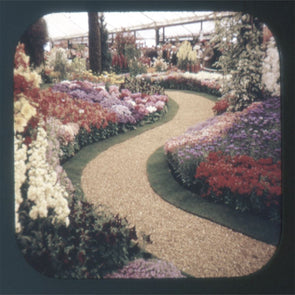 5 ANDREW - Chelsea Flower Show, London England - View-Master Single Reel - vintage - 1014 Reels 3dstereo 