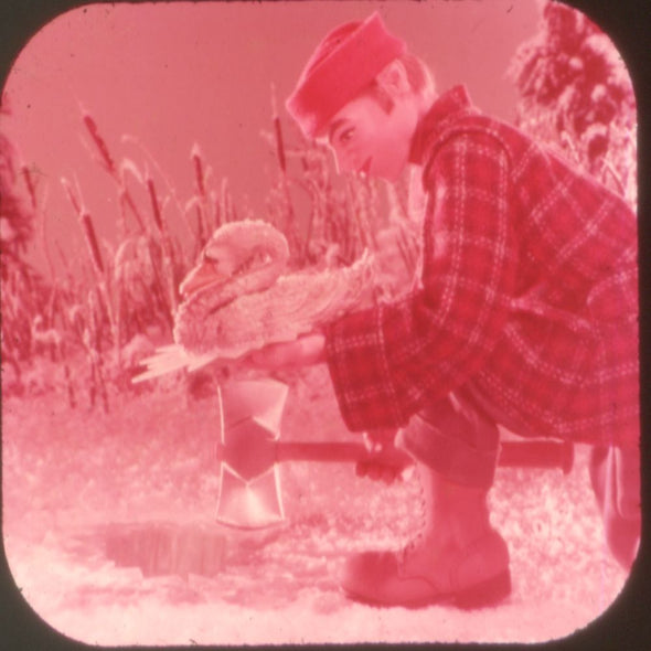 Juanito y el Frijol Magico (Jack and the Beanstalk) - View-Master 3 Reel Packet - vintage PKT 3Dstereo 