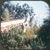 6ANDREW-Aventureland - Views-Master 3 Reel Packet vintage PKT 3Dstereo.com 