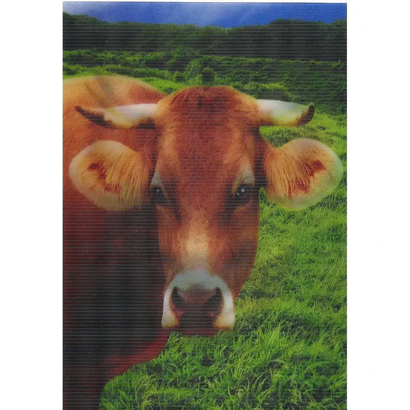 2 Smiling Animals - 2 Humorous 3D Lenticular Postcards - NEW Postcard 3dstereo 