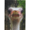 2 Smiling Animals - 2 Humorous 3D Lenticular Postcards - NEW Postcard 3dstereo 