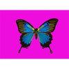 Animated Butterfly - Postcard Motion Lenticular Greeting Card - NEW Postcard 3dstereo 