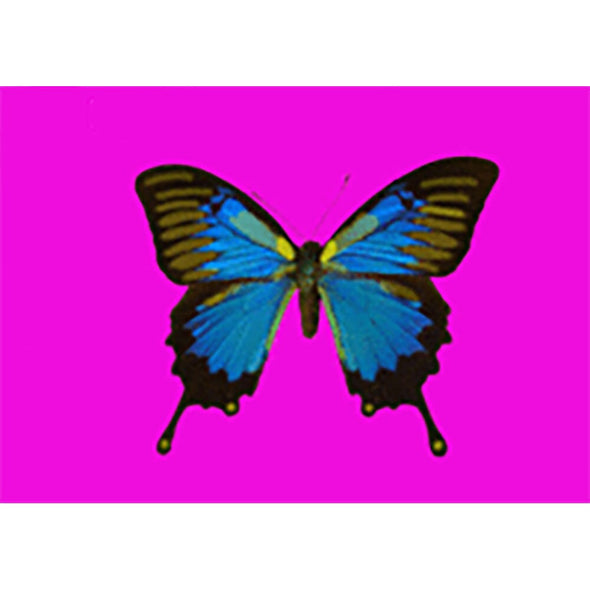 Animated Butterfly - Postcard Motion Lenticular Greeting Card - NEW Postcard 3dstereo 