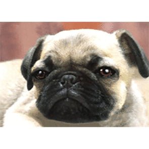 Pug - Flicker Lenticular Postcard Greeting Card - NEW Post Cards 3dstereo 