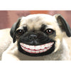 Pug - Flicker Lenticular Postcard Greeting Card - NEW Post Cards 3dstereo 