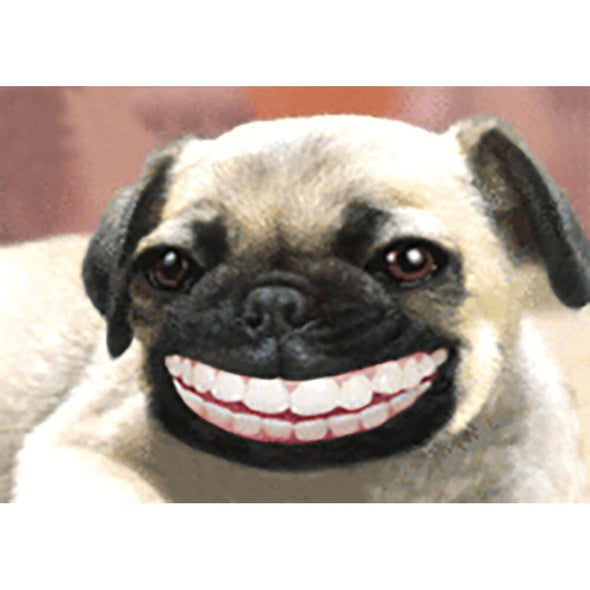 Pug - Flicker Lenticular Postcard Greeting Card - NEW Post Cards 3dstereo 