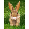 Rabbit - Flicker Lenticular Postcard Greeting Card - NEW Post Cards 3dstereo 