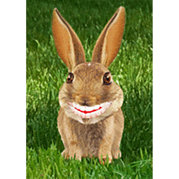 Rabbit - Flicker Lenticular Postcard Greeting Card - NEW Post Cards 3dstereo 