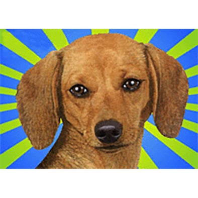 Dog - Flicker Lenticular Postcard Greeting Card - NEW Post Cards 3dstereo 