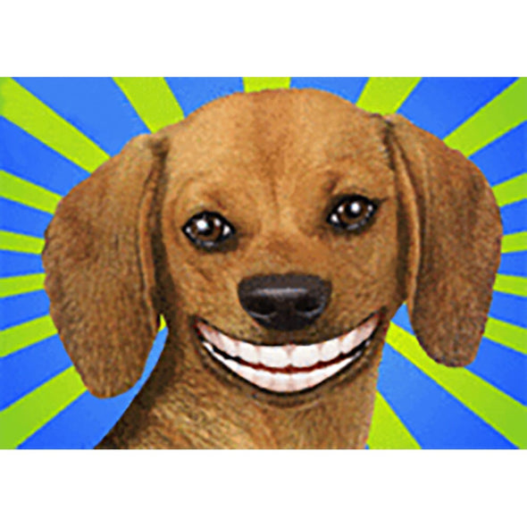 Dog - Flicker Lenticular Postcard Greeting Card - NEW Post Cards 3dstereo 