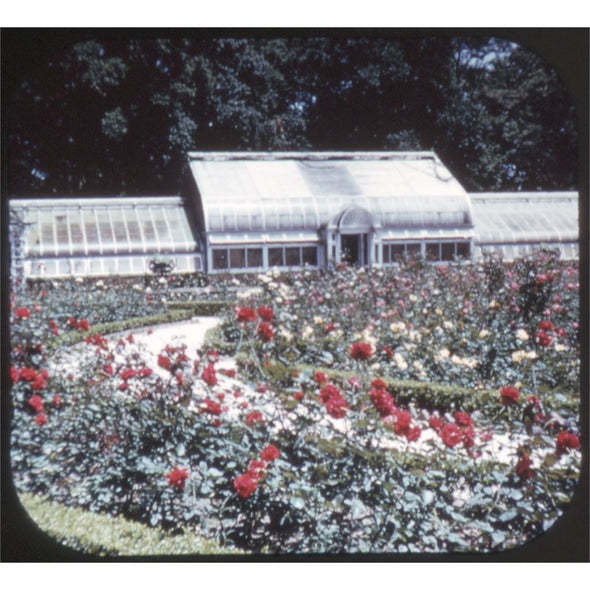 5 ANDREW - Bellingrath Gardens - View-Master 3 Reel Packet - vintage - A930-S6 Packet 3dstereo 