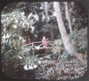 5 ANDREW - Sunken Gardens - St.Petersburg - View-Master 3 Reel Packet - vintage - A992-S4 Packet 3dstereo 