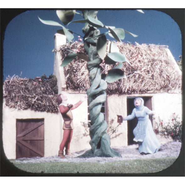 5 ANDREW - Jack and the Beanstalk - View-Master 3 Reel Packet - vintage - B314-S5 Packet 3dstereo 