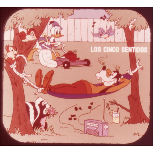 5 ANDREW - Los Cincos Sentidos No3 - View-Master 3 Reel Packet - vintage - L39S-V2 Packet 3dstereo 
