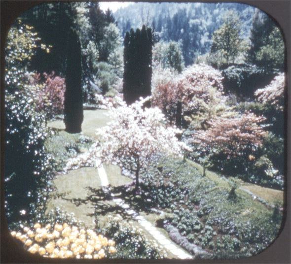 5 ANDREW - Victoria and Butchart Gardens - View-Master 3 Reel Packet - vintage - S3D Packet 3dstereo 