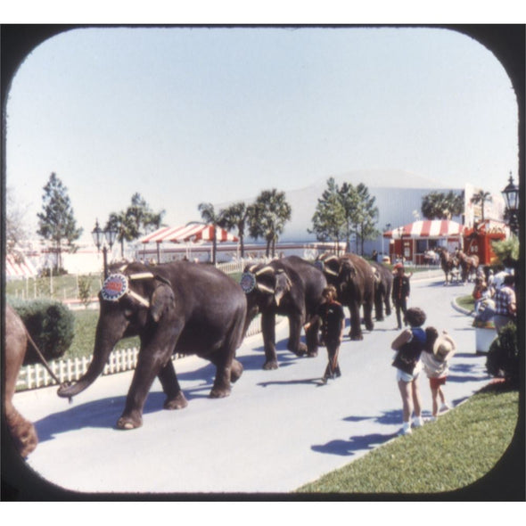 4 ANDREW - Circus World No2 - View-Master 3 Reel Set on Card - vintage - 5336 VBP 3dstereo 