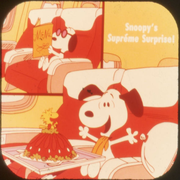 9 ANDREW - Bon Voyage Charlie Brown - View-Master 3 Reel Economy Packet - vintage - L2-V2 Packet 3Dstereo 