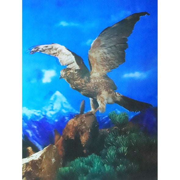 The Eagle - 3D Lenticular Poster - 12x16 - New Poster 3dstereo 