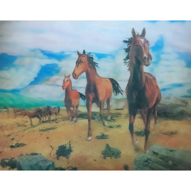 Wild Horse - 3D Lenticular Poster - 12x16 - New Poster 3dstereo 