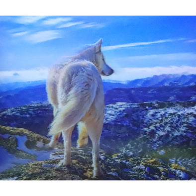 White Wolf on Mountain - 3D Lenticular Poster - 12x16 Print - New Poster 3Dstereo 