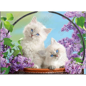 Fluffy white kittens - 3D Lenticular Poster - 12x16 - NEW Poster 3Dstereo 