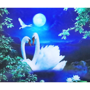 White Swans - 3D Lenticular Poster - 12x16 Print - New Poster 3Dstereo 