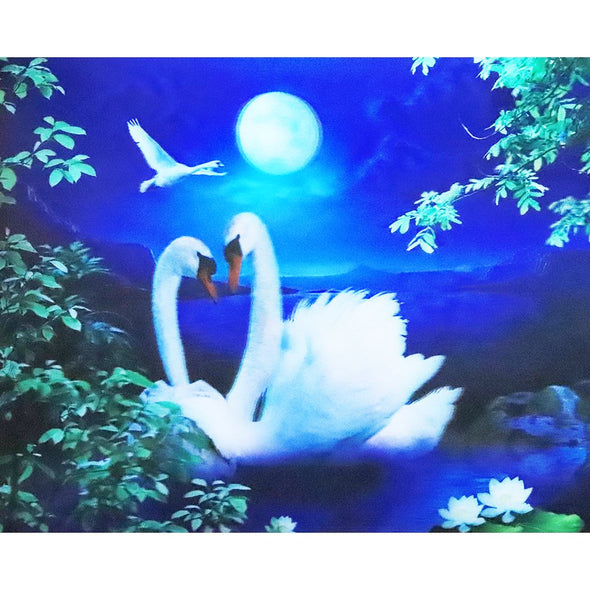 White Swans - 3D Lenticular Poster - 12x16 Print - New Poster 3Dstereo 